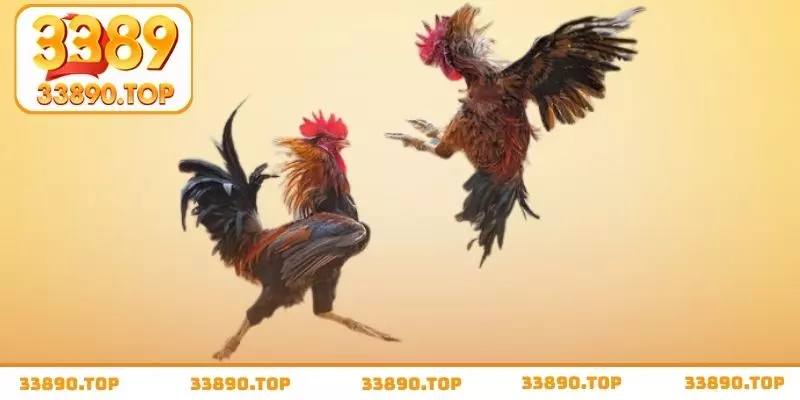 Dựa vào thế đứng của chiến kê