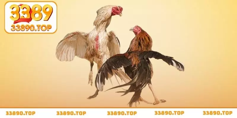 Tham gia sảnh WCG với các trận đấu nổi tiếng